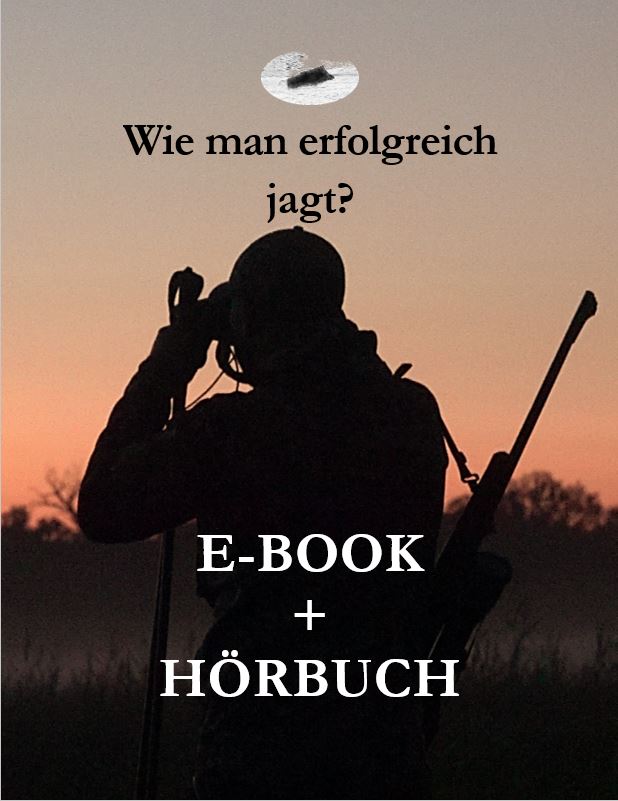 Wie man erfolgreich jagt?