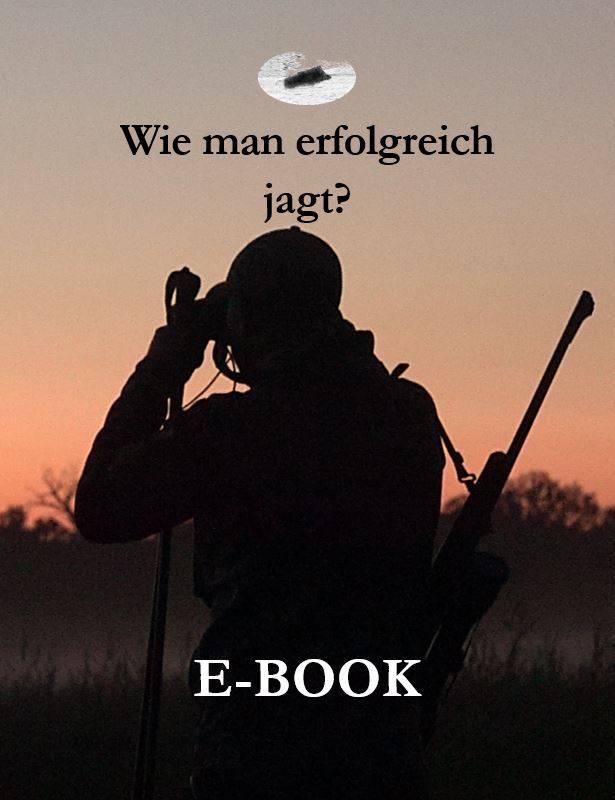 Wie man erfolgreich jagt?
