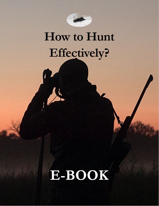 How to Hunt Effectively?