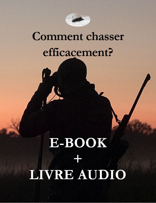 Comment chasser efficacement?