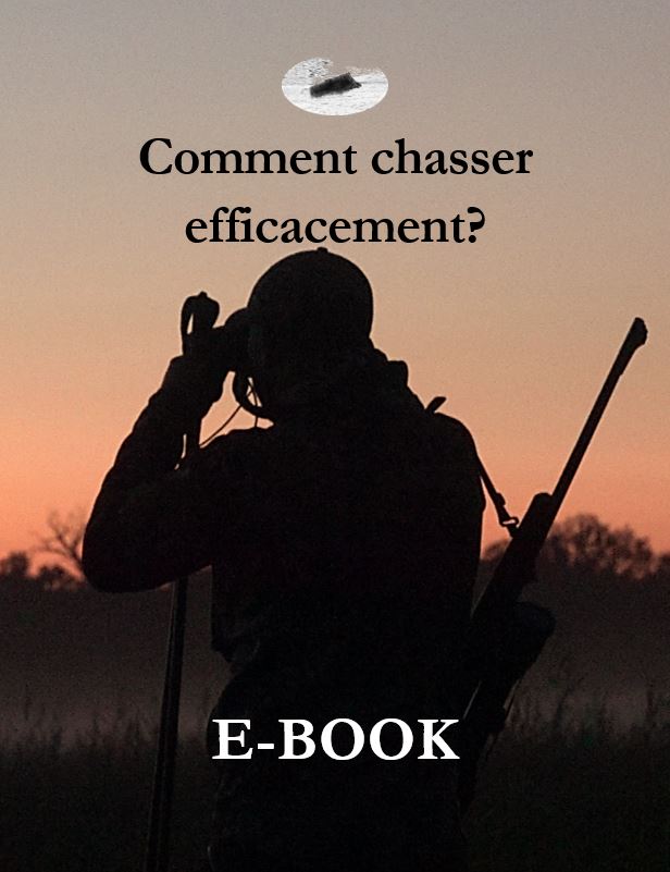 Comment chasser efficacement?