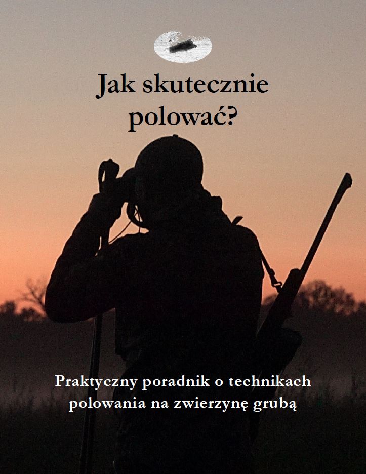 Jak skutecznie polować?