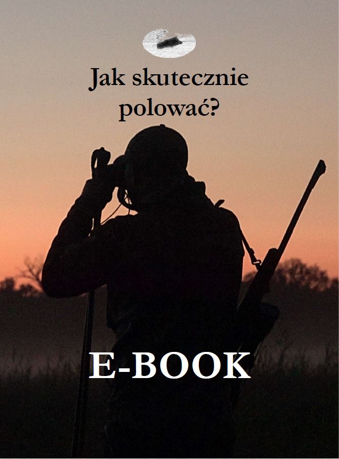 Jak skutecznie polować?
