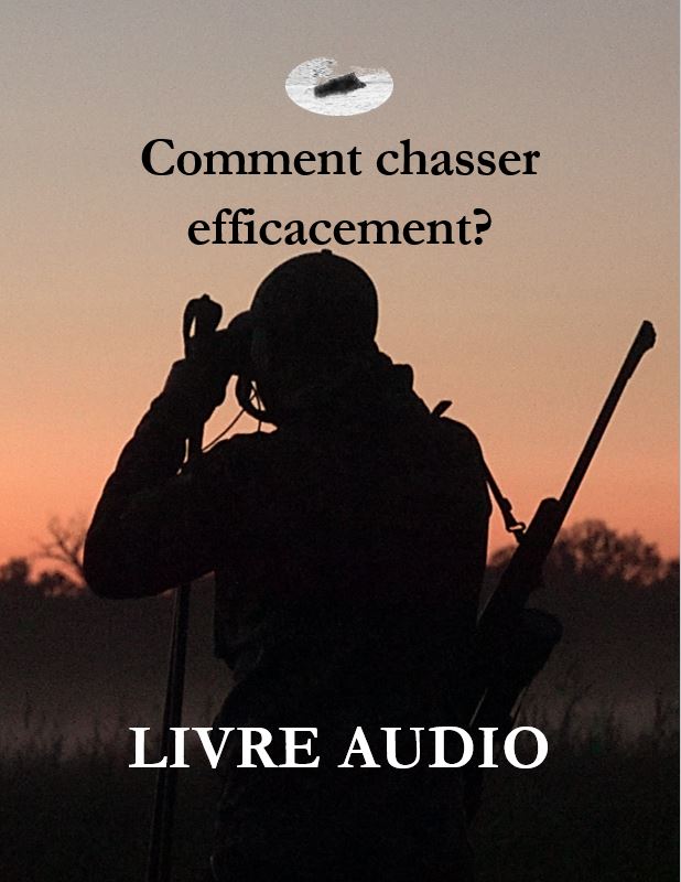 Comment chasser efficacement?